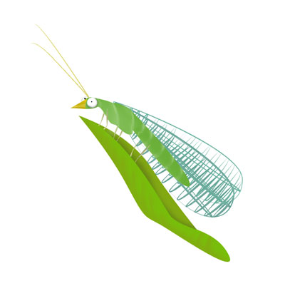 ilustración de un insecto